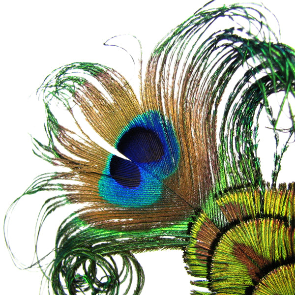 Peacock Feather Hairpin Fascinator