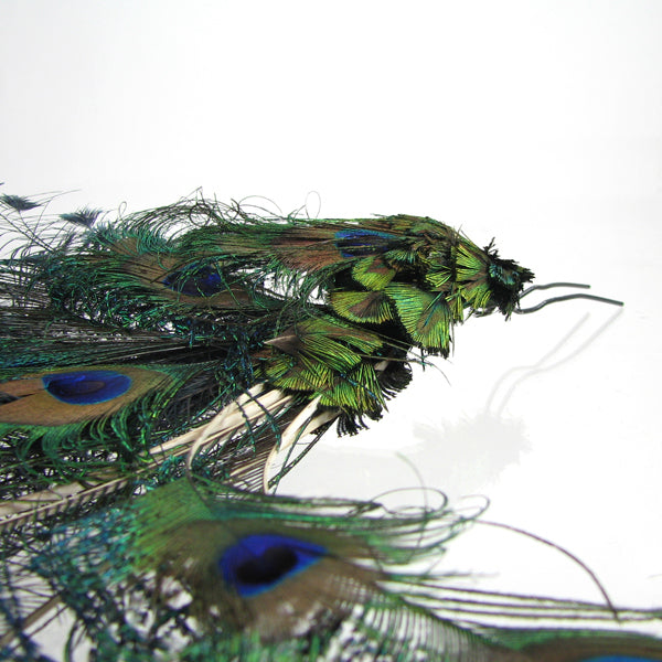 peacock feather hairpin