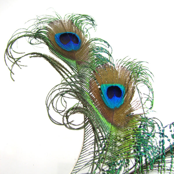 peacock feather hairpin