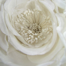Load image into Gallery viewer, White rose Floral Corsage