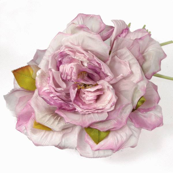 Large silk, hand tooled cabbage rose CG003