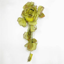Load image into Gallery viewer, Silk Rose with Tendrils