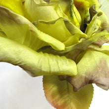 Load image into Gallery viewer, Silk Rose with Tendrils