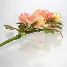 Load image into Gallery viewer, Tudor Spray Rose