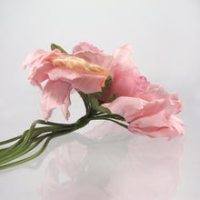 Load image into Gallery viewer, Large Cabbage Rose