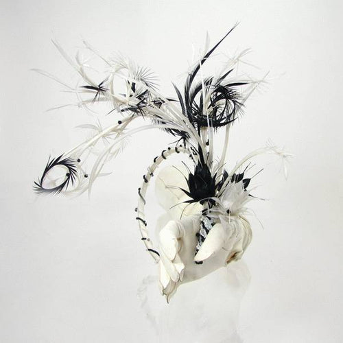 Feather headdress 